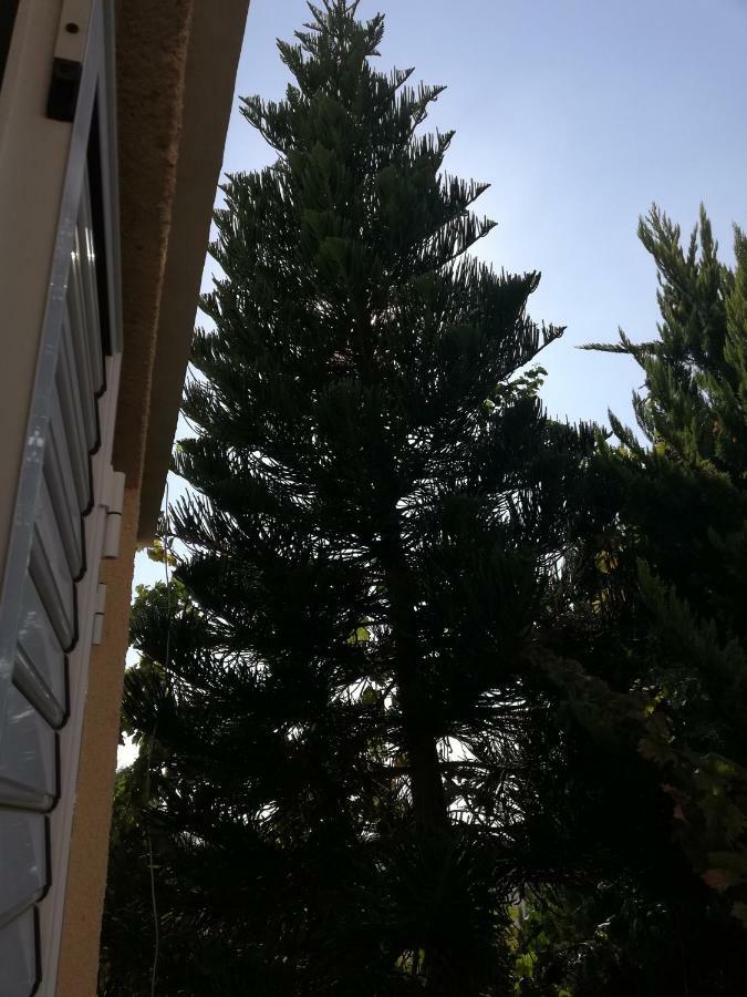 Chriselina Gottage Apartment Paphos Exterior photo