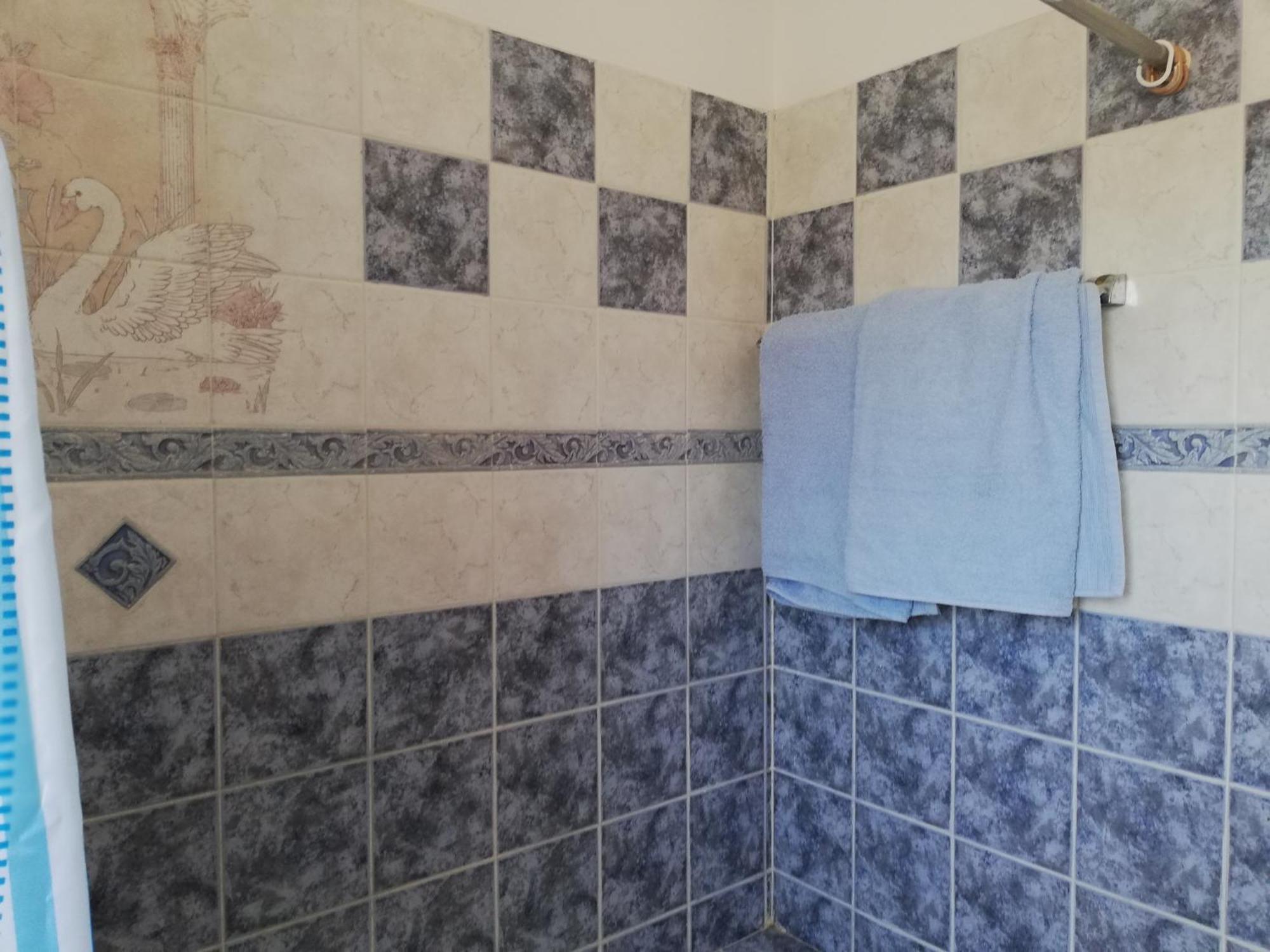Chriselina Gottage Apartment Paphos Exterior photo
