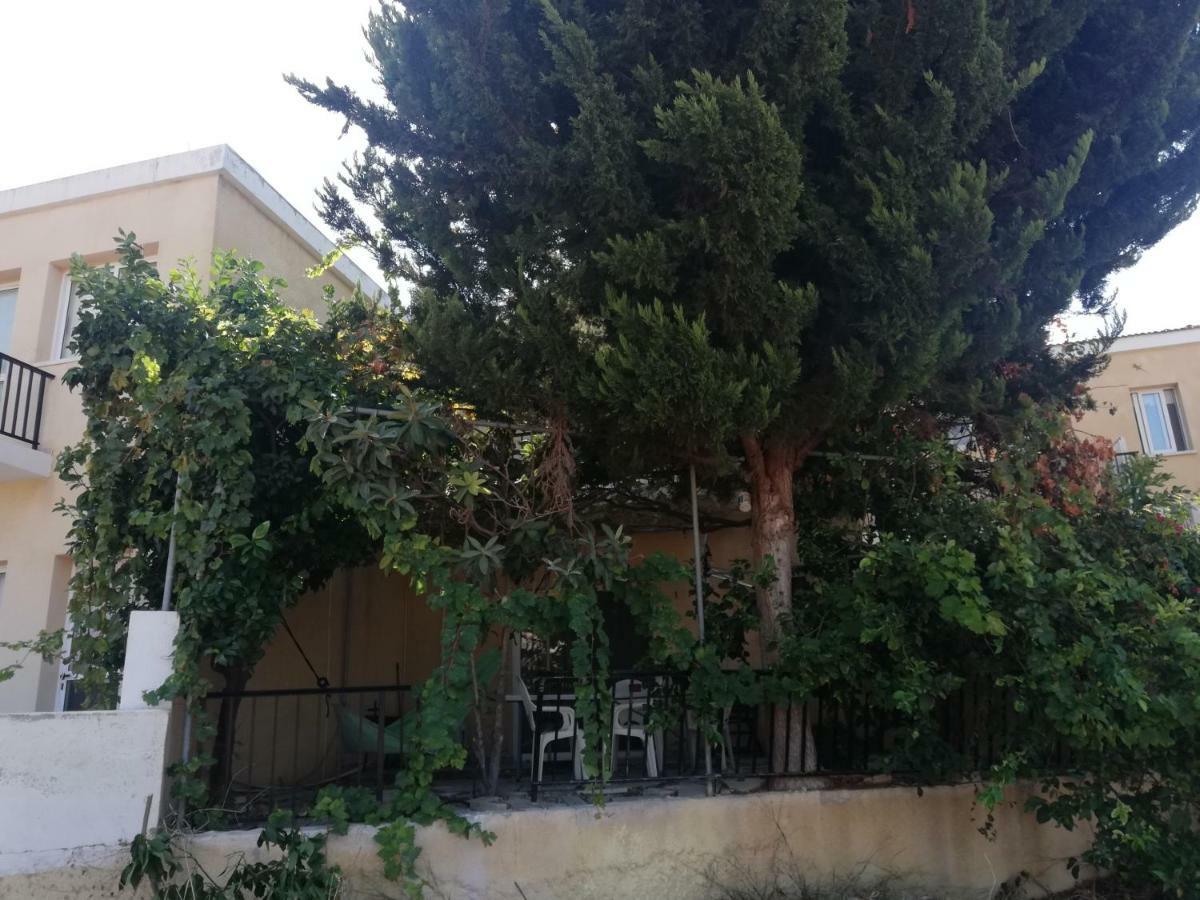 Chriselina Gottage Apartment Paphos Exterior photo