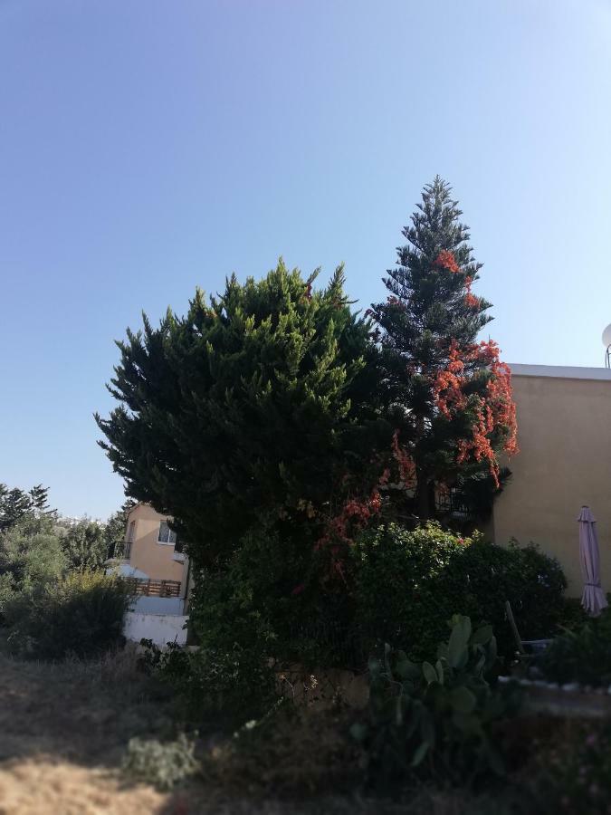 Chriselina Gottage Apartment Paphos Exterior photo