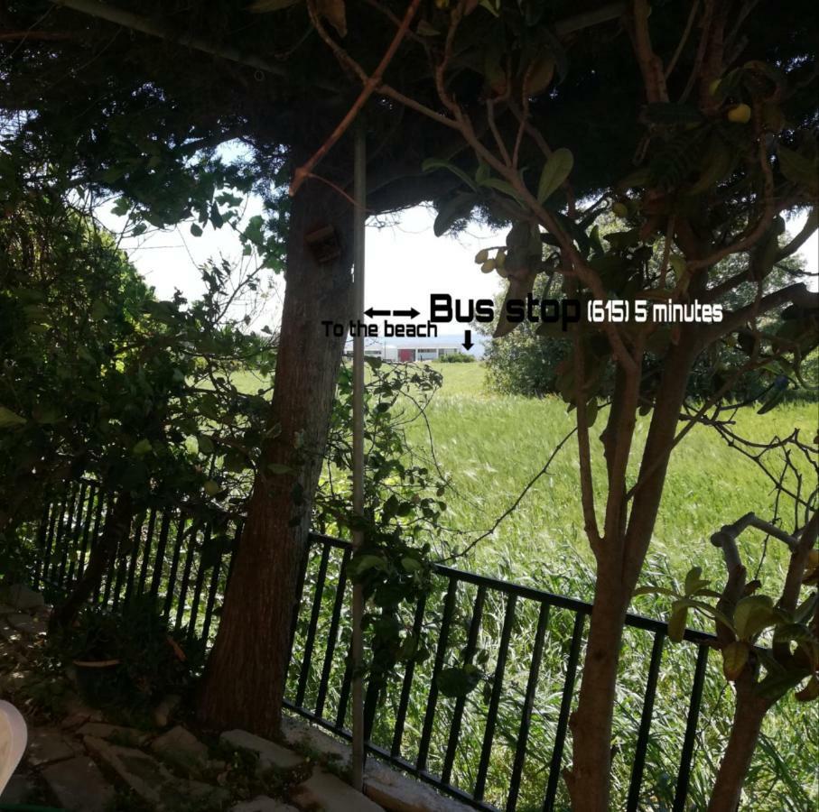 Chriselina Gottage Apartment Paphos Exterior photo